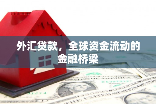 涉县外汇贷款，全球资金流动的金融桥梁