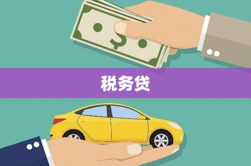 宁晋税务贷
