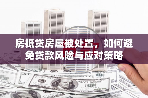 鸟松房抵贷房屋被处置，如何避免贷款风险与应对策略