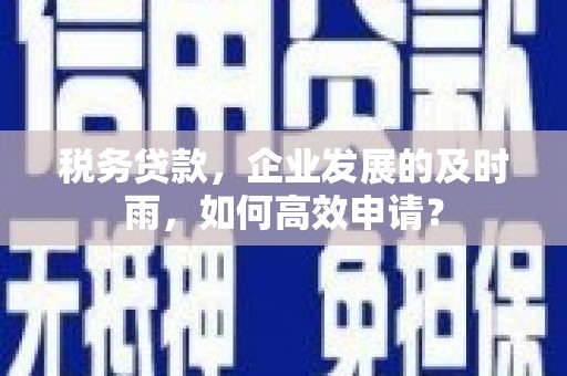 徐水税务贷款，企业发展的及时雨，如何高效申请？
