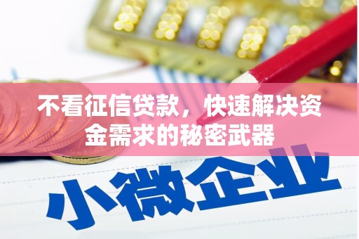 温岭不看征信贷款，快速解决资金需求的秘密武器