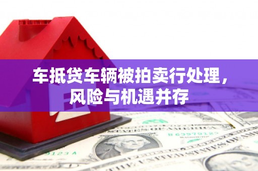 雨山车抵贷车辆被拍卖行处理，风险与机遇并存