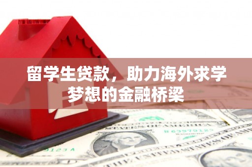 杨梅留学生贷款，助力海外求学梦想的金融桥梁