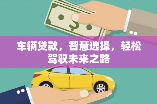 杨梅车辆贷款，智慧选择，轻松驾驭未来之路