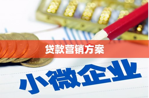 徽县贷款营销方案