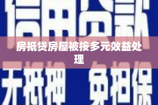和田房抵贷房屋被按多元效益处理