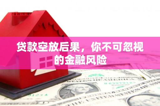 秀洲贷款空放后果，你不可忽视的金融风险