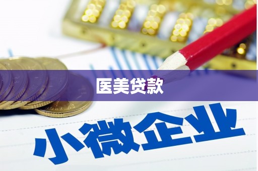岫岩医美贷款