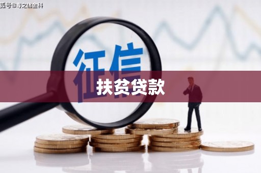 禹城扶贫贷款