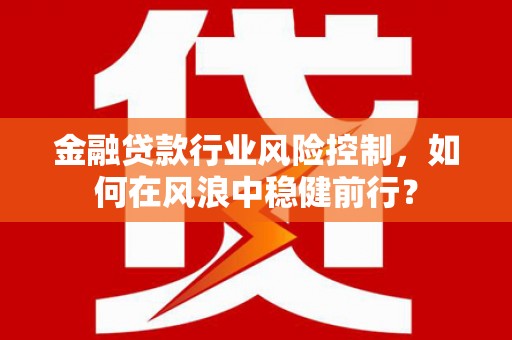 禹城金融贷款行业风险控制，如何在风浪中稳健前行？