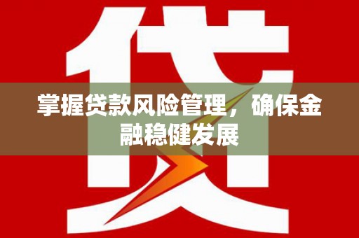龙山掌握贷款风险管理，确保金融稳健发展