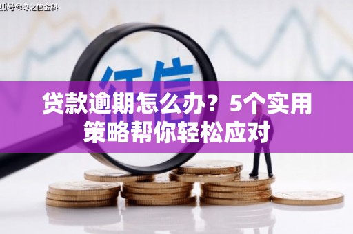 乡宁贷款逾期怎么办？5个实用策略帮你轻松应对