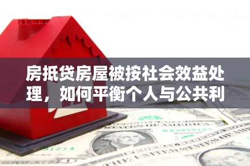 谷城房抵贷房屋被按社会效益处理，如何平衡个人与公共利益？