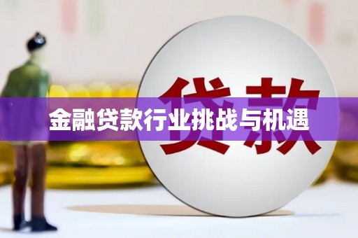 册亨金融贷款行业挑战与机遇