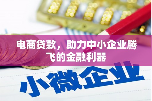 册亨电商贷款，助力中小企业腾飞的金融利器