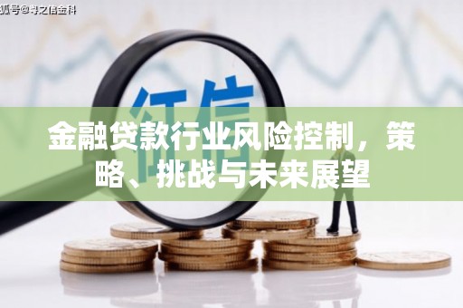 临桂金融贷款行业风险控制，策略、挑战与未来展望