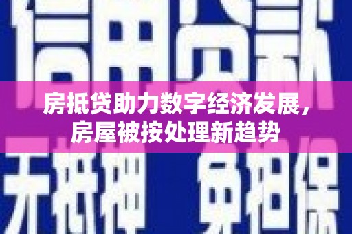 阳谷房抵贷助力数字经济发展，房屋被按处理新趋势