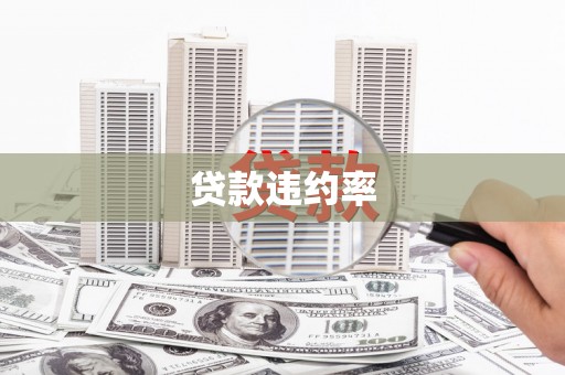 确山贷款违约率