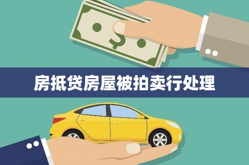 宝兴房抵贷房屋被拍卖行处理