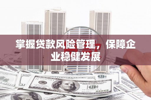宝兴掌握贷款风险管理，保障企业稳健发展