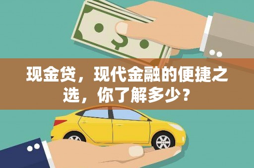 宝兴现金贷，现代金融的便捷之选，你了解多少？