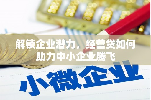 玄武解锁企业潜力，经营贷如何助力中小企业腾飞