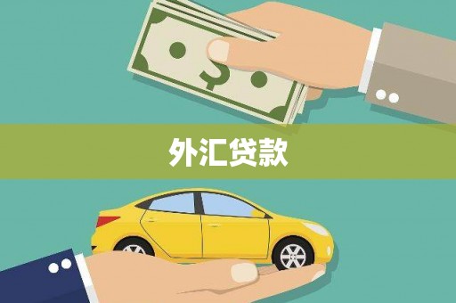 南岗外汇贷款