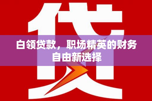 雅安白领贷款，职场精英的财务自由新选择