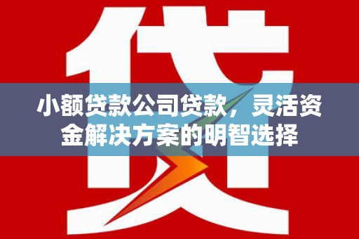 河源小额贷款公司贷款，灵活资金解决方案的明智选择