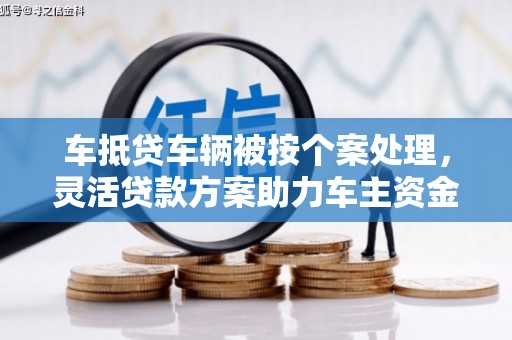 泸州车抵贷车辆被按个案处理，灵活贷款方案助力车主资金周转