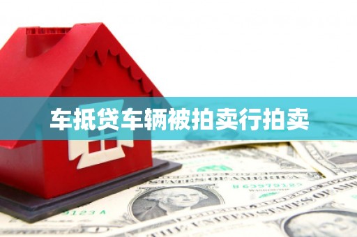 芦山车抵贷车辆被拍卖行拍卖