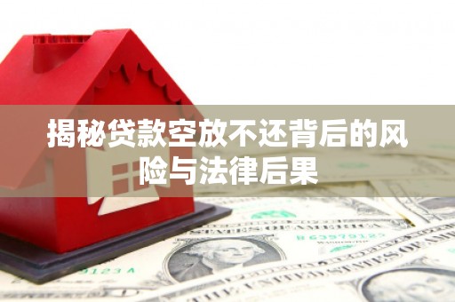 湖南揭秘贷款空放不还背后的风险与法律后果