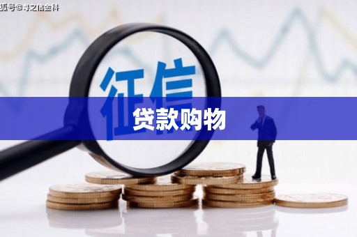 朗县贷款购物