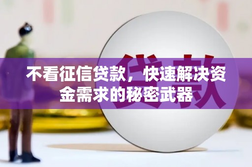 横山不看征信贷款，快速解决资金需求的秘密武器