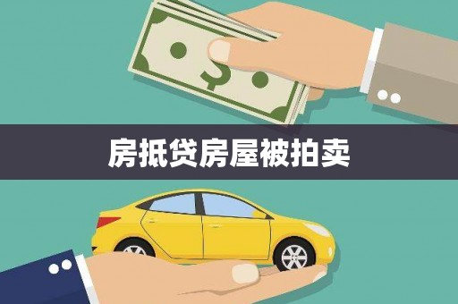 安岳房抵贷房屋被拍卖