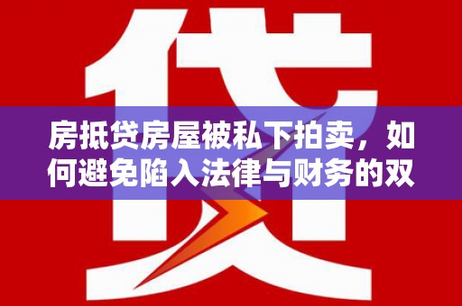 博爱房抵贷房屋被私下拍卖，如何避免陷入法律与财务的双重困境？