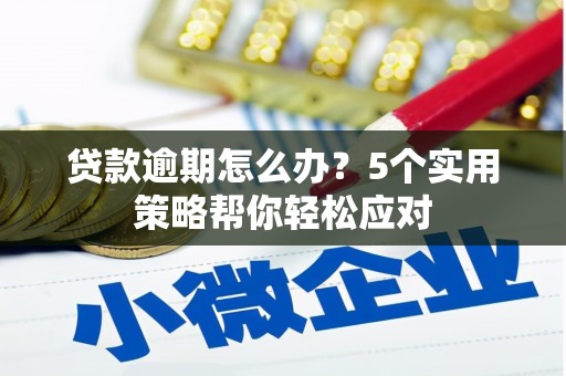 敦煌贷款逾期怎么办？5个实用策略帮你轻松应对