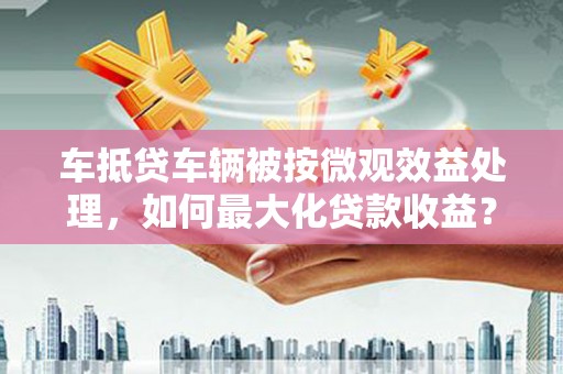 临潭车抵贷车辆被按微观效益处理，如何最大化贷款收益？