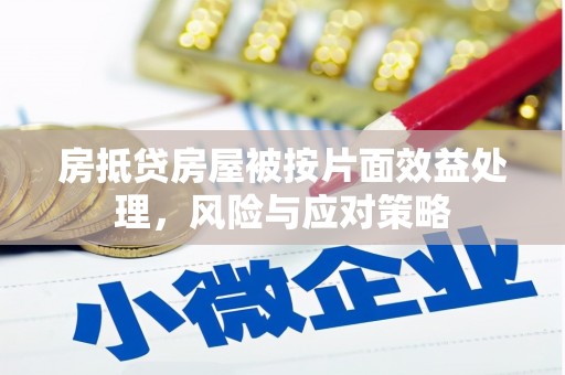 林甸房抵贷房屋被按片面效益处理，风险与应对策略