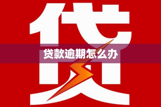 城中贷款逾期怎么办