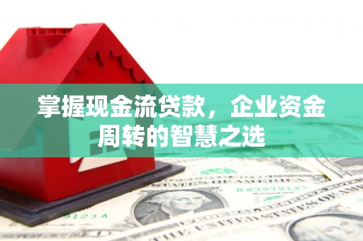 带岭掌握现金流贷款，企业资金周转的智慧之选