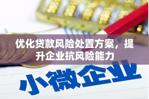 阿克塞优化贷款风险处置方案，提升企业抗风险能力