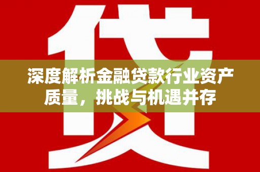 庆阳深度解析金融贷款行业资产质量，挑战与机遇并存