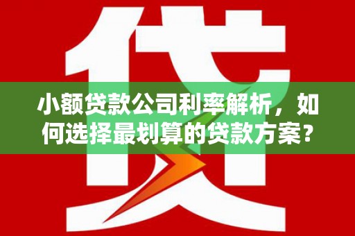 巴彦淖尔市小额贷款公司利率解析，如何选择最划算的贷款方案？