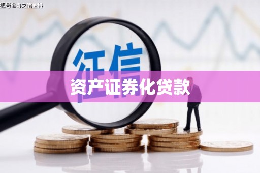 顺平资产证券化贷款