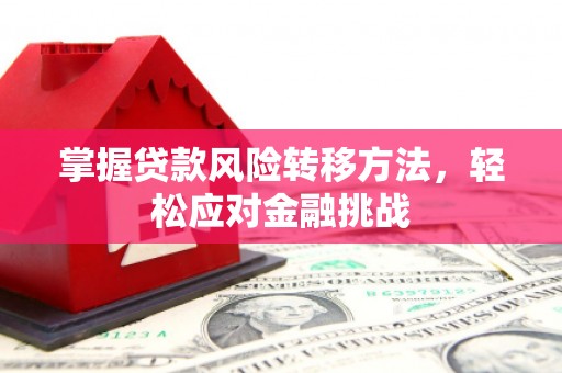 吴桥掌握贷款风险转移方法，轻松应对金融挑战
