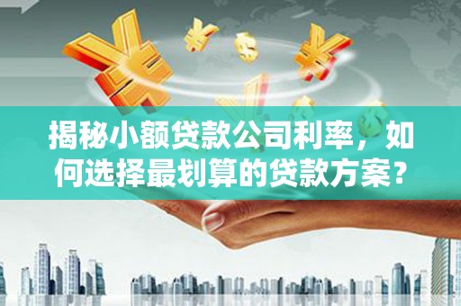 苏尼特左旗揭秘小额贷款公司利率，如何选择最划算的贷款方案？