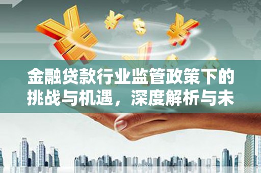 珠晖金融贷款行业监管政策下的挑战与机遇，深度解析与未来展望