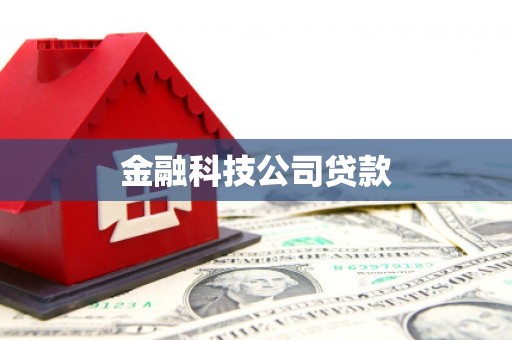 稻城金融科技公司贷款