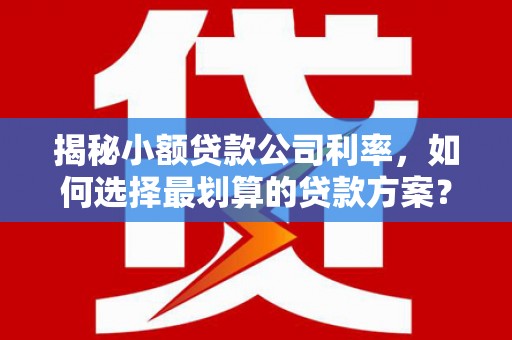 信丰揭秘小额贷款公司利率，如何选择最划算的贷款方案？